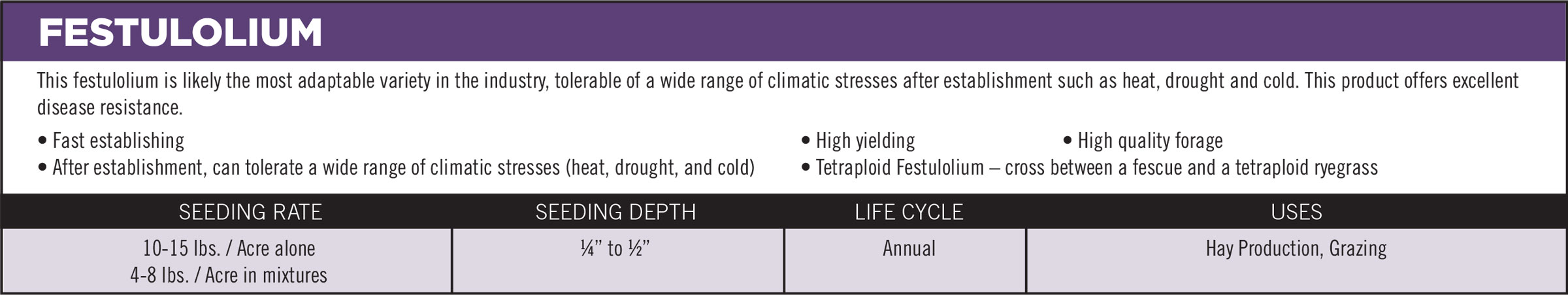 Festulolium