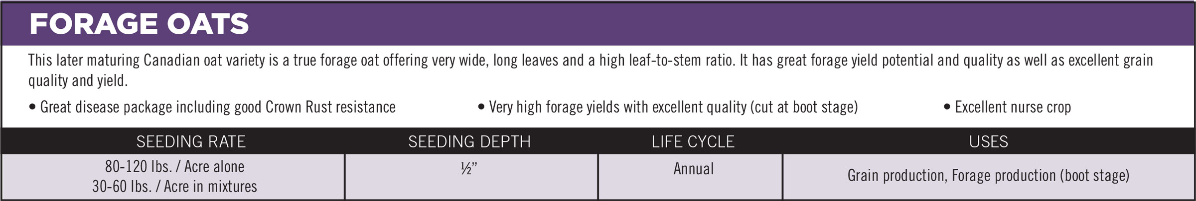 Forage Oats