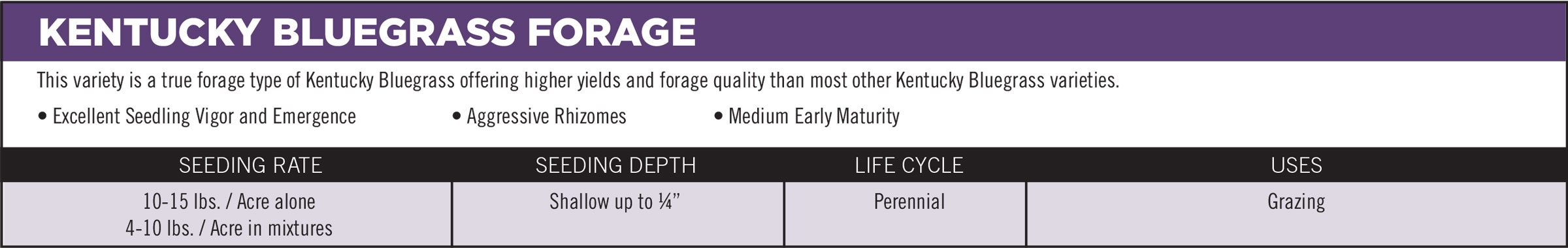 Kentucky Bluegrass Forage