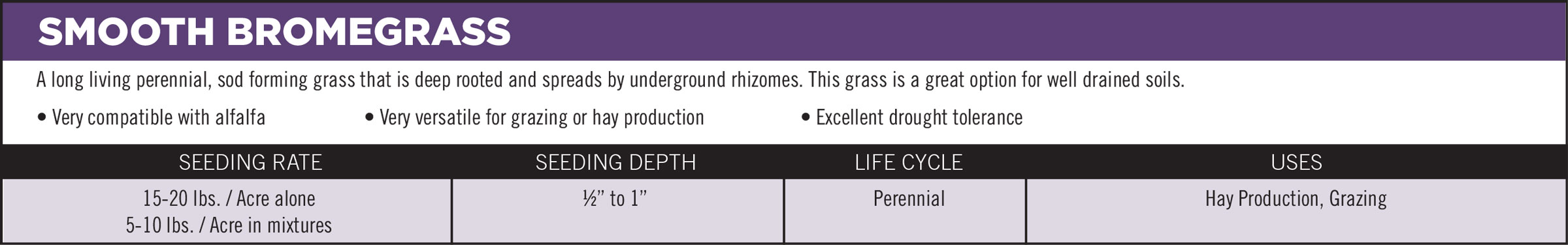 Smooth Bromegrass