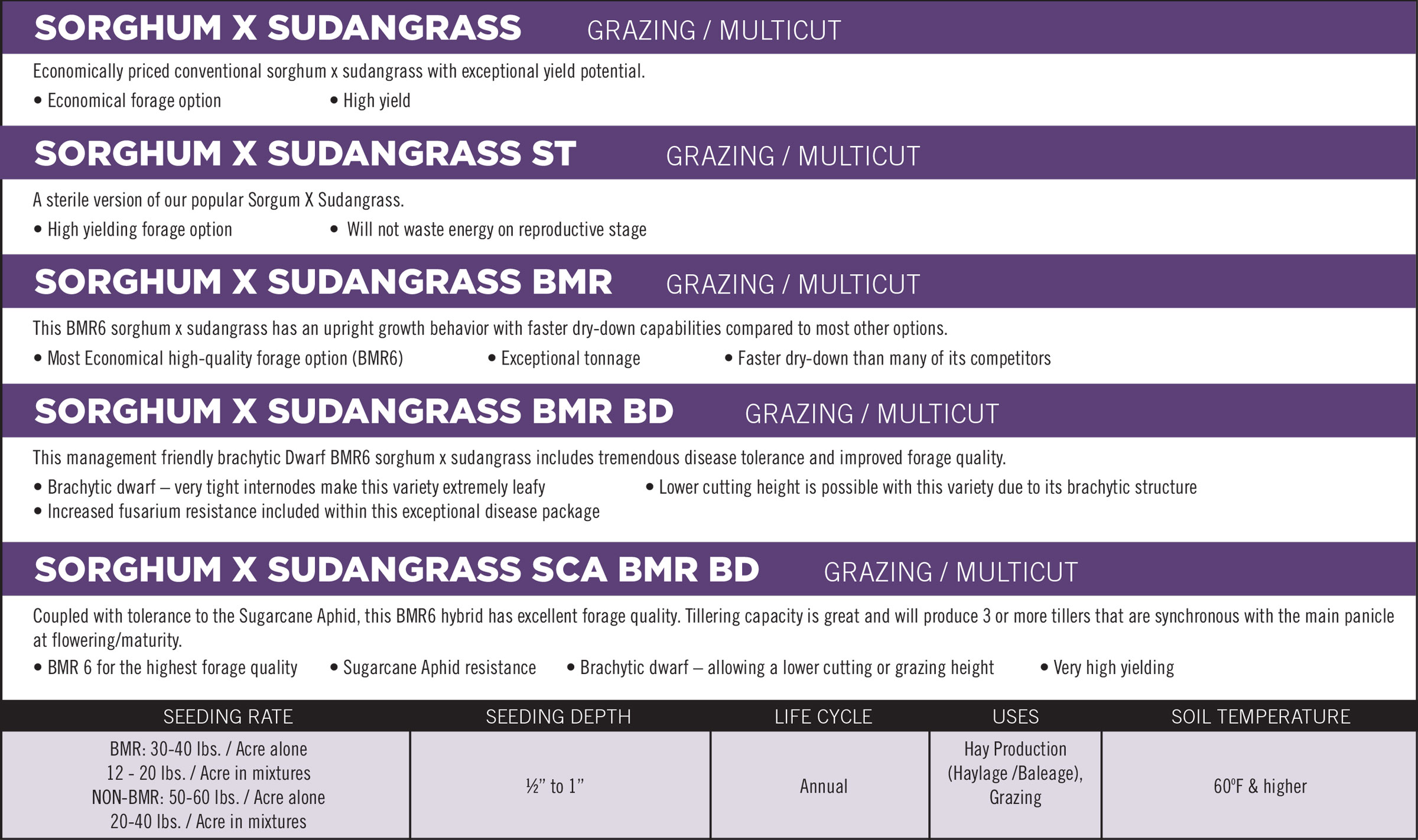 Sorghum X Sudangrass Products