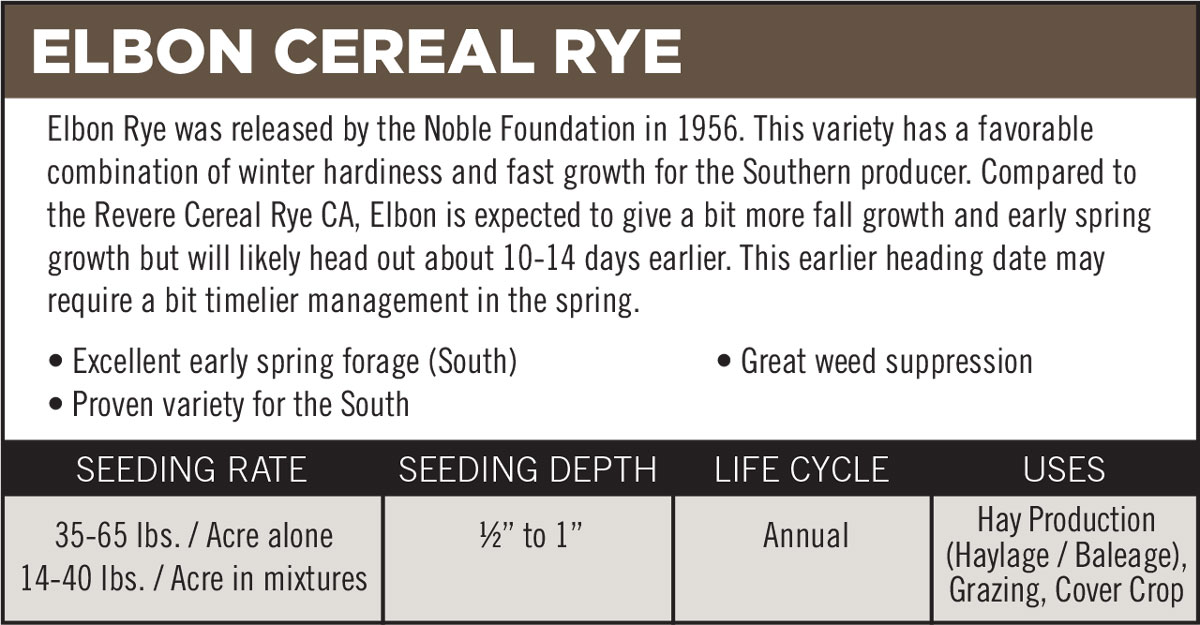 Elbon Cereal Rye
