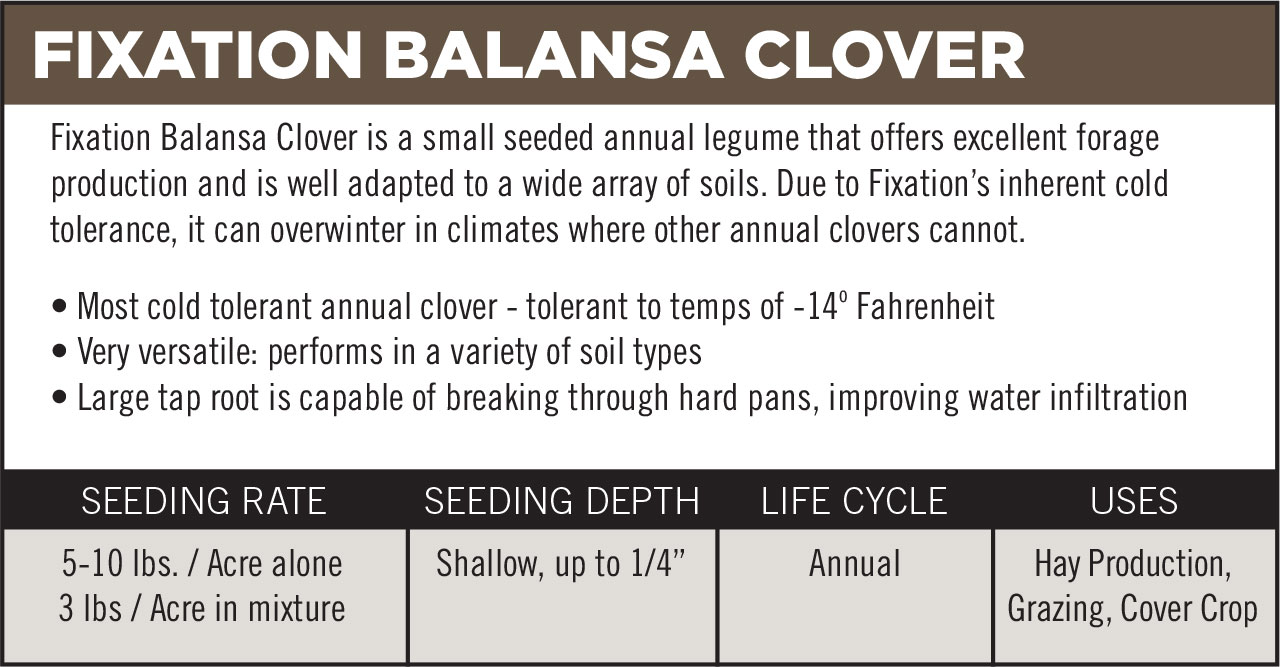 Fixation Balansa Clover