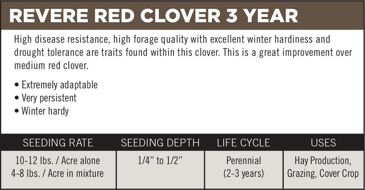 Revere Red Clover 3 Year