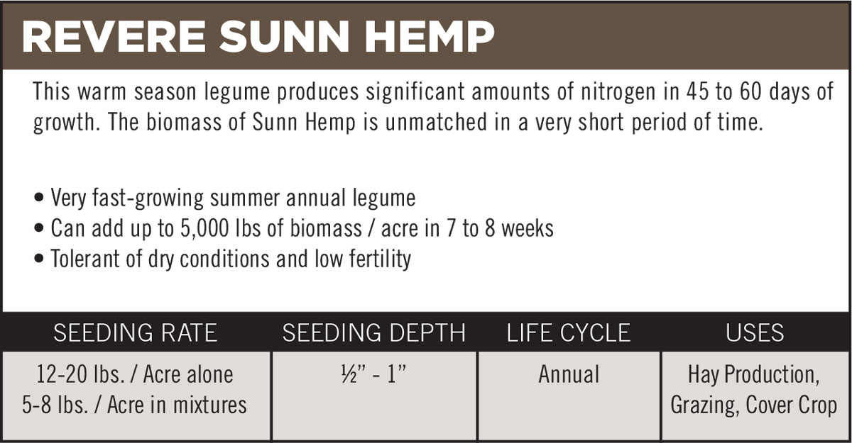 Revere Sunn Hemp