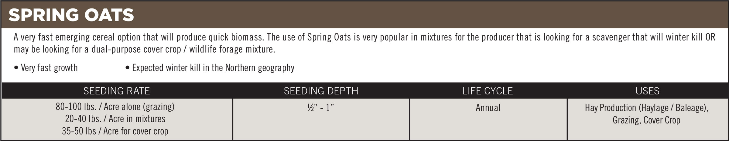 Spring Oats