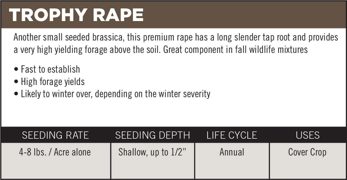 Trophy Rape